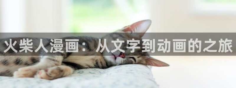 51漫画免费3d漫画：火柴人漫画：从文字到动画的之旅
