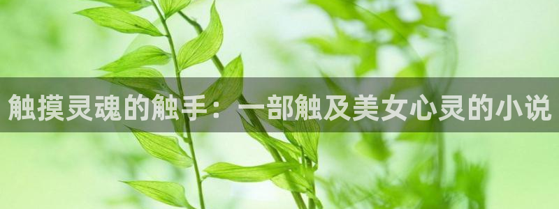 51漫画网站免费阅读全集下拉式 近期发布：触摸灵魂的触手：一部触及美女心灵的小说