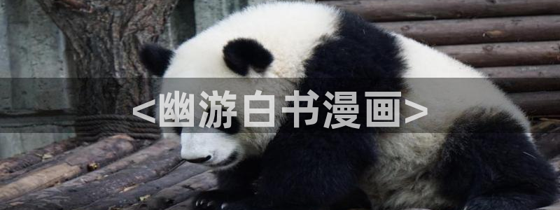 51漫画 免费 在线：<幽游白书漫画>