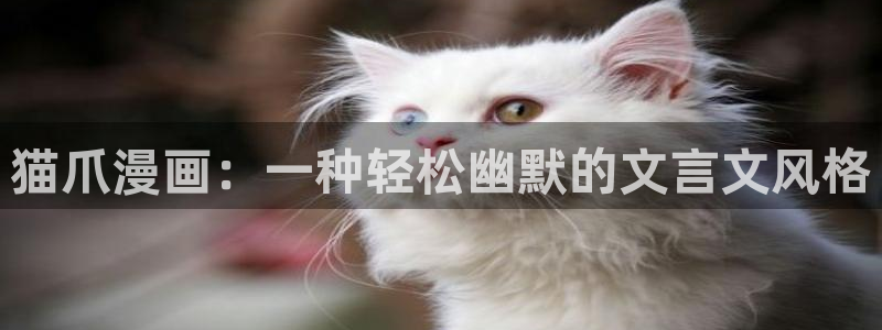 看免费51漫画的网址：猫爪漫画：一种轻松幽默的文言文风格