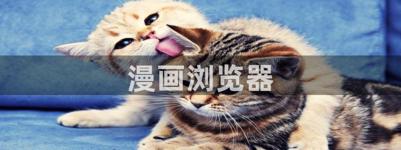 cc51漫画：漫画浏览器